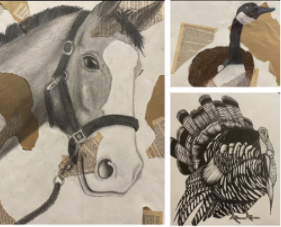 three picture collage of drawings of a horse, a mallard duck, and a turkey